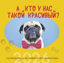 Обложка А кто у нас такой красивый? Календарь настенный на 2026 год (300х300) 