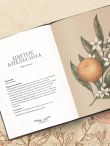 Флориография. Карманное руководство по викторианскому языку цветов