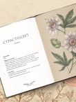 Флориография. Карманное руководство по викторианскому языку цветов