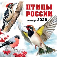 Обложка Птицы России. Календарь настенный на 2026 год (300х300 мм) 