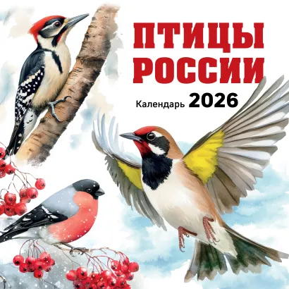 Обложка Птицы России. Календарь настенный на 2026 год (300х300 мм) 