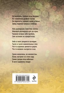 Обложка сзади Прекрасная ясность Юрий Сорокин