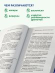 Мифы о драконах