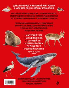 Обложка сзади Красная книга России. Животные, птицы, рыбы, рептилии. Более 500 уникальных иллюстраций и фактов (новое издание) (основной) Юлия Добрыня