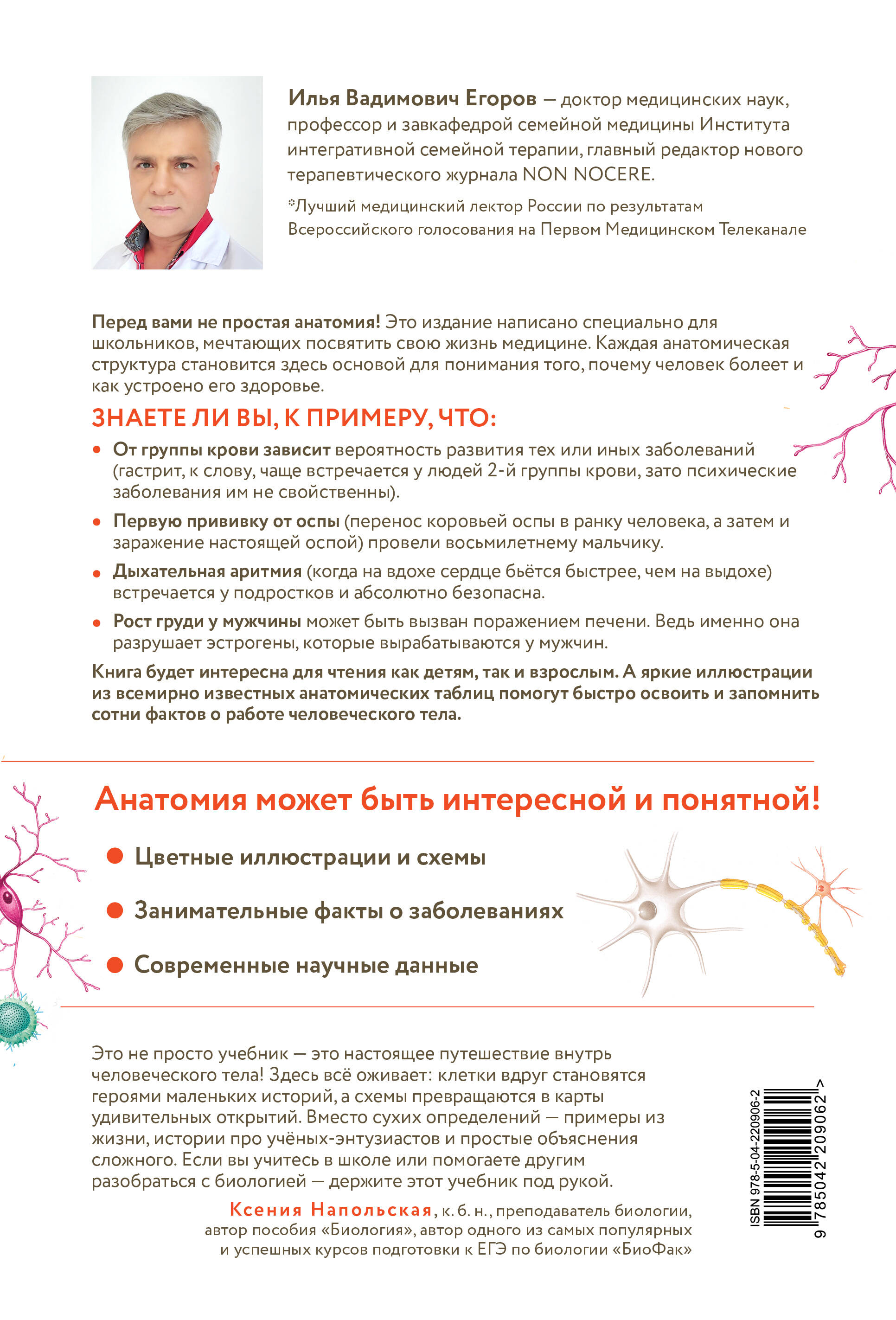 Анатомия для школьников. Пособие для учеников химико-биологических классов и абитуриентов естественно-научных направлений