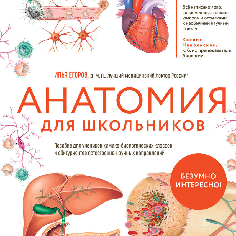 Анатомия для школьников. Пособие для учеников химико-биологических классов и абитуриентов естественно-научных направлений