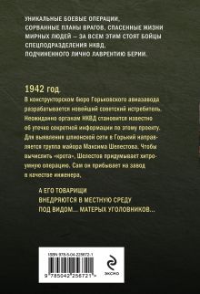 Обложка сзади Просчет невидимки Александр Тамоников