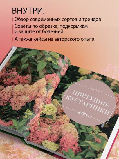 Красивый сад на все сезоны. Как создать выразительные композиции из хвойных и декоративных кустарников