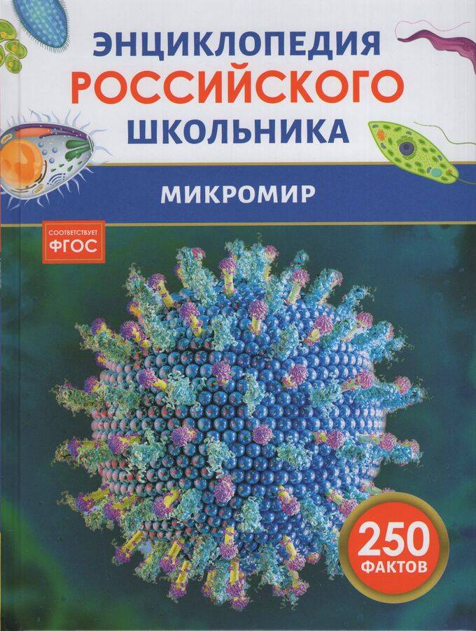  книга Микромир. Энциклопедия российского школьника