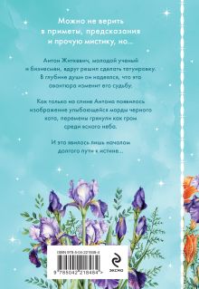 Обложка сзади Улыбка черного кота (формат клатчбук) Олег Рой