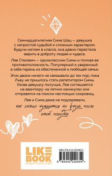 Обложка сзади В поисках сокровища Ася Лавринович