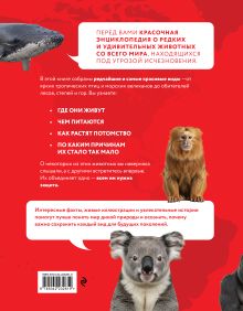 Обложка сзади Красная книга мира. От Арктики до Африки. Иллюстрированная энциклопедия школьника (48 стр.) Юлия Добрыня