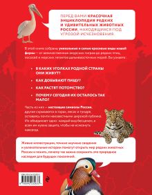 Обложка сзади Красная книга России. От Байкала до Камчатки. Иллюстрированная энциклопедия школьника (48 стр.) Юлия Добрыня