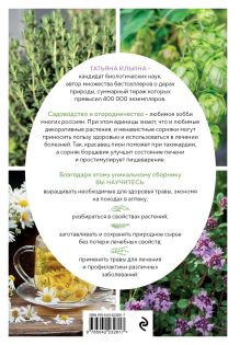 Обложка сзади Аптечный огород. Справочник по сбору, хранению и применению целебных растений (новое оформление) Татьяна Ильина