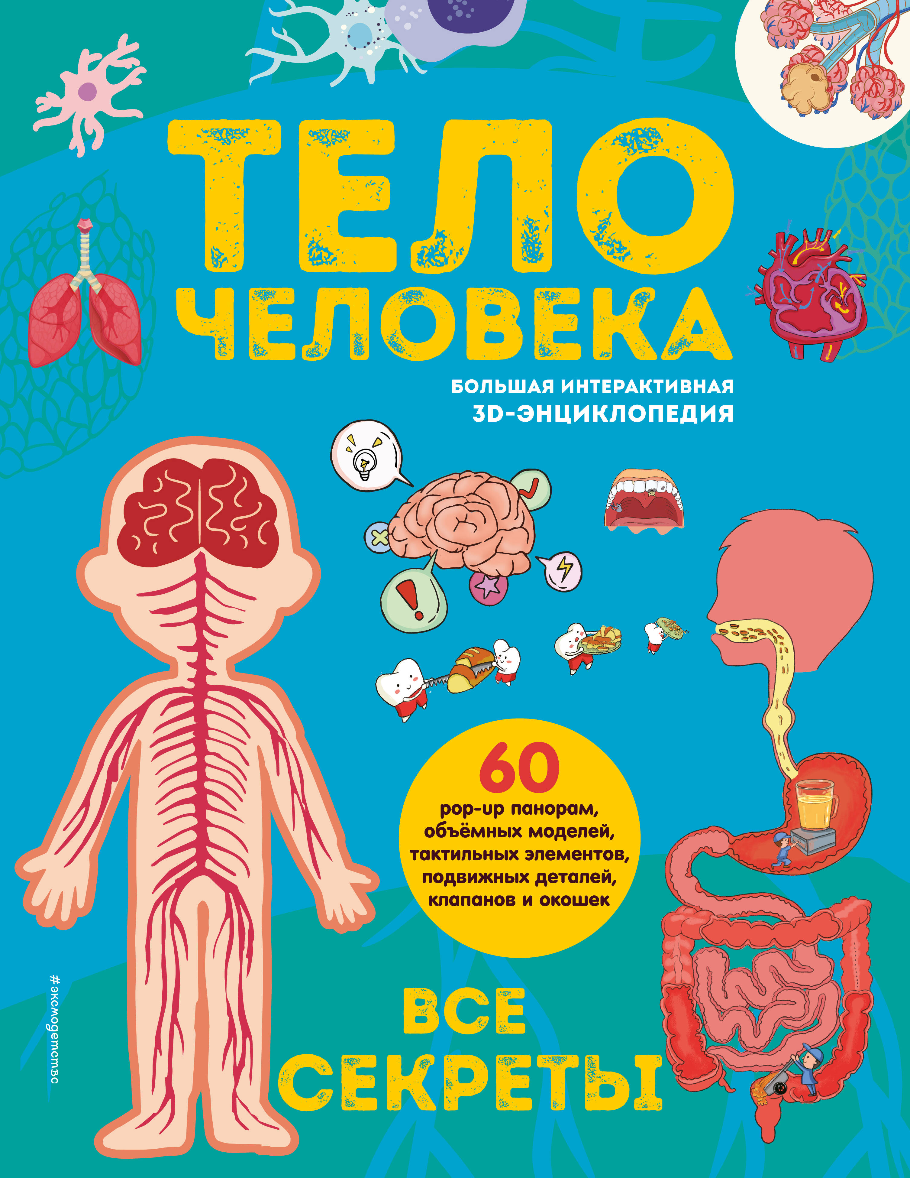 Тело человека. Все секреты. Большая интерактивная 3D-энциклопедия