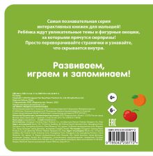 Обложка сзади Загляни в окошко! Озорная кошка 