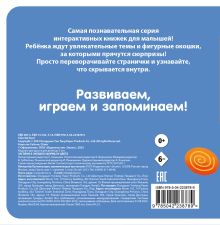 Обложка сзади Загляни в окошко! Формы и цвета 