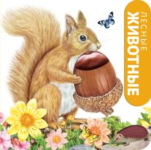 Лесные животные