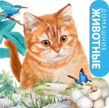 Обложка Домашние животные