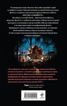 Обложка сзади Темная флейта вожатого Владимир Волков