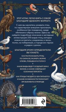Обложка сзади Птицы. Карманный атлас-определитель