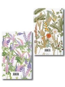 Обложка сзади Авонлейские хроники. Продолжение вселенной Ани из Зелёных Мезонинов (комплект из 2 книг: Авонлейские хроники и Новые Авонлейские хроники)