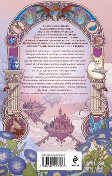 Обложка сзади Бедствие в академии драконов Александра Черчень