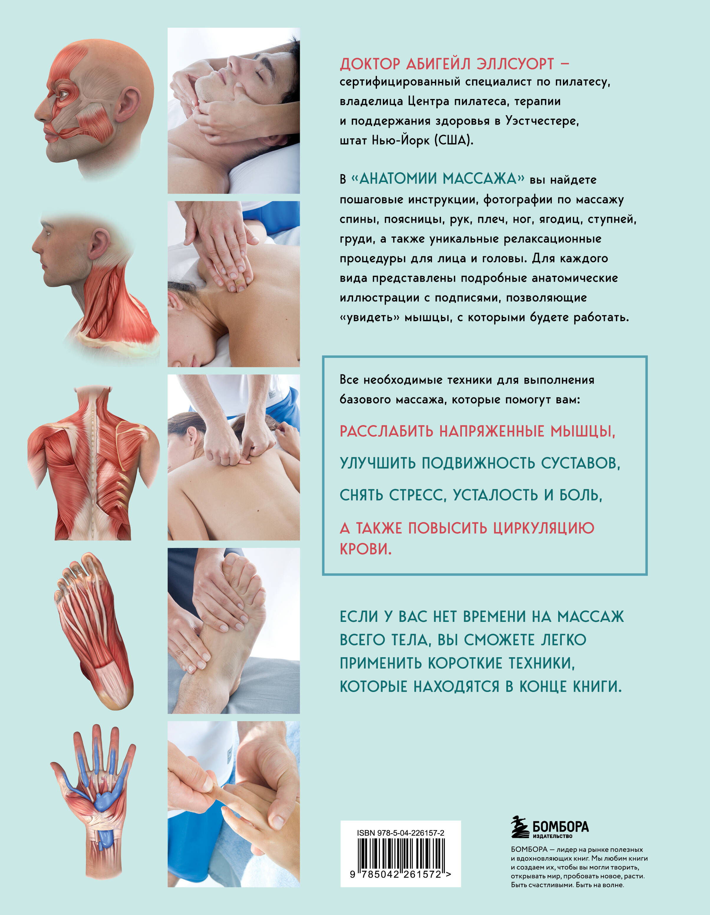 Анатомия массажа. Основы массажа нижней и верхней части тела с анатомическими иллюстрациями