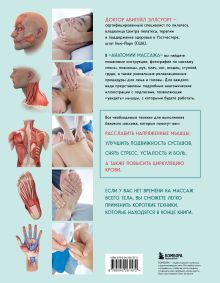 Обложка сзади Анатомия массажа. Основы массажа нижней и верхней части тела с анатомическими иллюстрациями Абигейл Эллсуорт