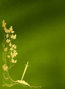 Обложка сзади Настоящие сказки братьев Гримм (шелковая коллекция) Якоб Гримм, Вильгельм Гримм