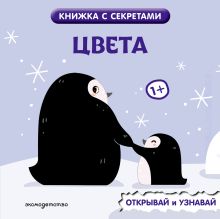 Обложка Цвета