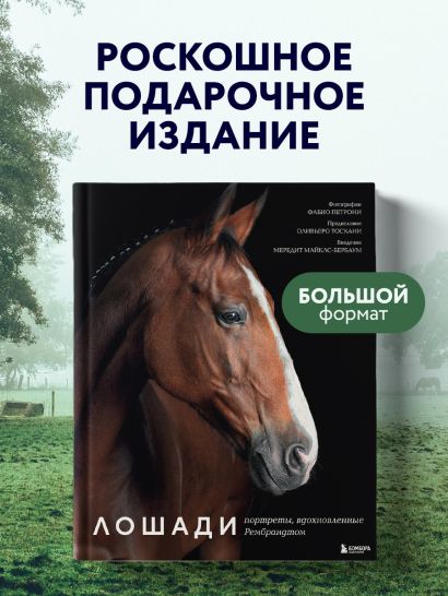 Лошади. Портреты, вдохновленные Рембрандтом. Эксклюзивный фотоальбом
