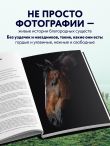 Лошади. Портреты, вдохновленные Рембрандтом. Эксклюзивный фотоальбом