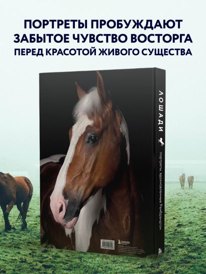 Лошади. Портреты, вдохновленные Рембрандтом. Эксклюзивный фотоальбом