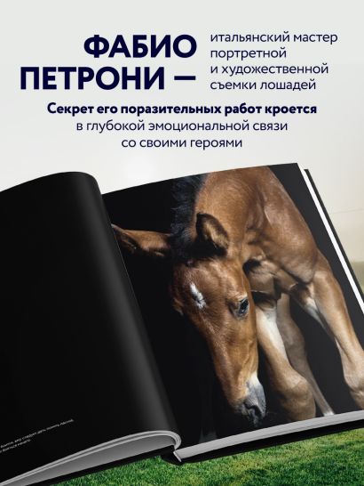 Лошади. Портреты, вдохновленные Рембрандтом. Эксклюзивный фотоальбом