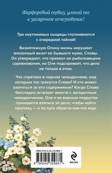 Обложка сзади Загадка тихого озера Дарья Калинина