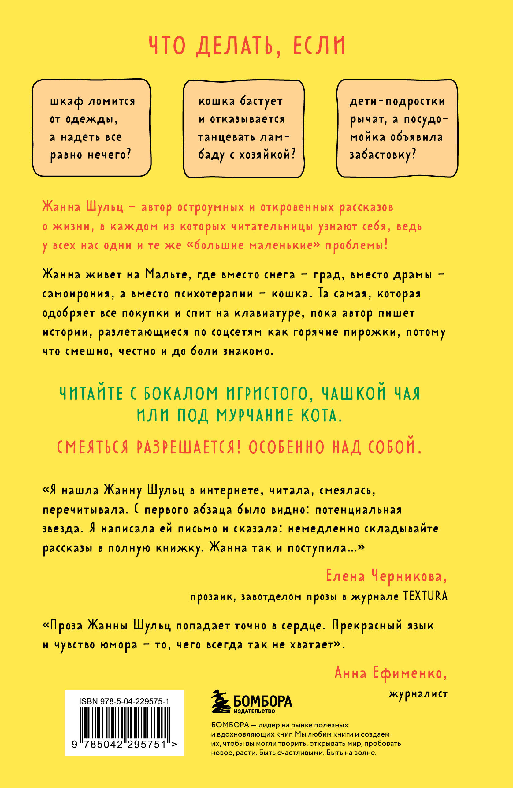 Ревизия платяного шкафа. Ироничные рассказы о личной жизни и других стихийных бедствиях