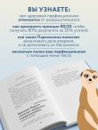 Лучше плохо, чем никак. Как обмануть перфекционизм и начать уже что-то делать