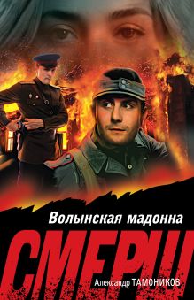 Обложка Волынская мадонна Александр Тамоников