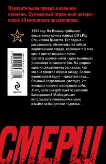 Обложка сзади Волынская мадонна Александр Тамоников