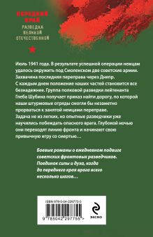 Обложка сзади Огненный тыл Александр Тамоников