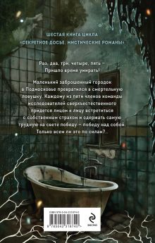 Обложка сзади Город мертвых отражений Наталья Тимошенко, Лена Обухова