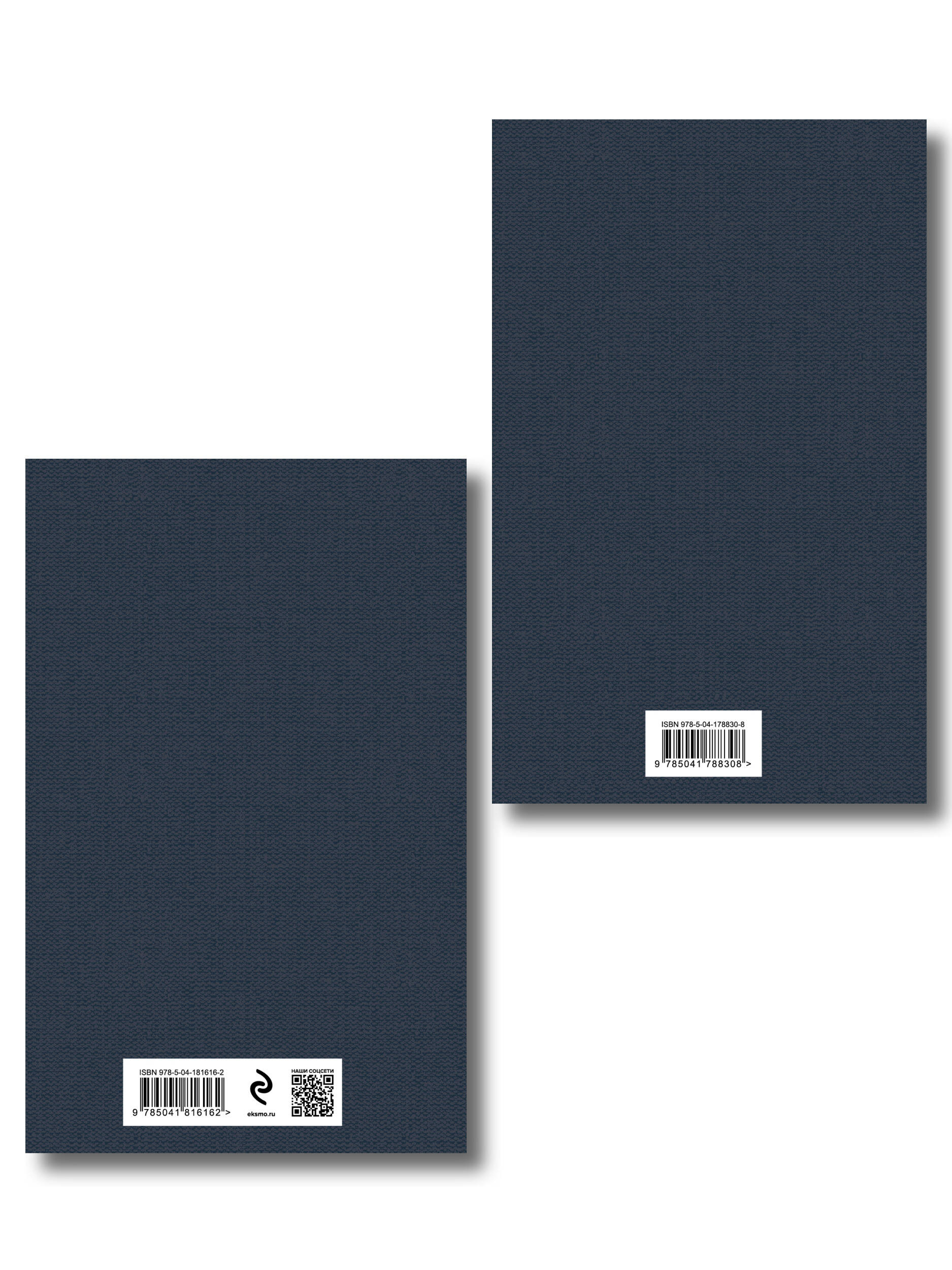 Расшифрованный Евгений Онегин (набор из 2 книг: Евгений Онегин, Комментарии к роману «Евгений Онегин». Биография А. С. Пушкина)