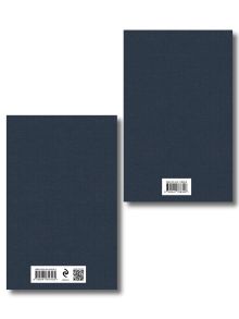 Обложка сзади Расшифрованный Евгений Онегин (набор из 2 книг: Евгений Онегин, Комментарии к роману «Евгений Онегин». Биография А. С. Пушкина) 