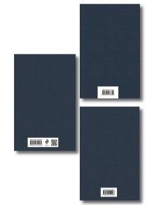 Обложка сзади Критики о Пушкине и Гоголе (набор из 3 книг: Дубровский, Мертвые души, Статьи критиков о русской литературе) 