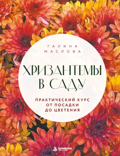 Обложка Хризантемы в саду. Практический курс от посадки до цветения Галина Маслова