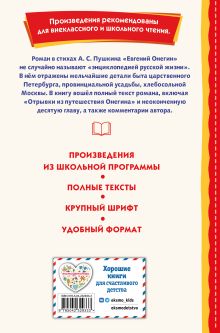 Обложка сзади Евгений Онегин (ил. Е. Самокиш-Судковской) А. С. Пушкин