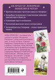 Комплект: Оракул Ленорман. Подробное толкование карт, сочетания и расклады для начинающих + Малый оракул Ленорман. 36 ключей (39 карт и руководство по работе с колодой)