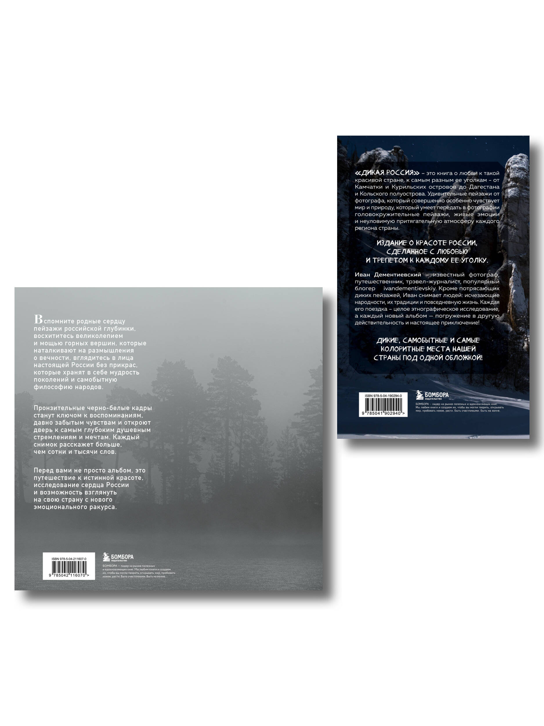 Россия в моем сердце. Подарочный комплект 2-х книг Ивана Дементиевского (ИК)