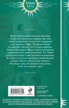 Обложка сзади Колдунья по найму Адриана Белоусова